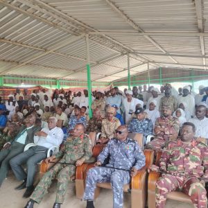 سنار تزرع في كل الظروف